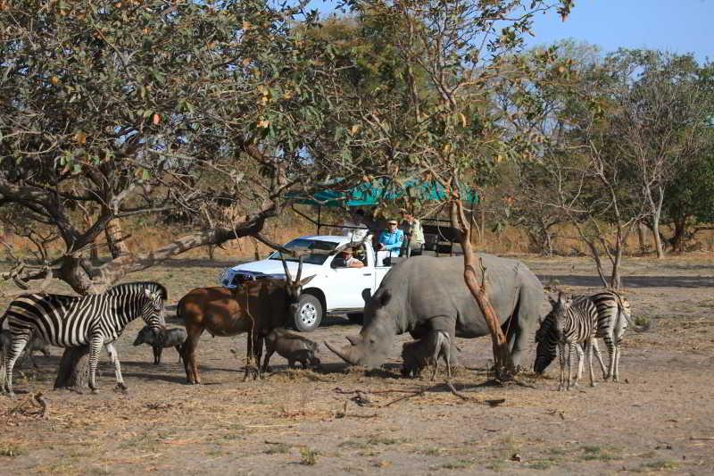 Fathala Wildlife Reserve Toubakouta Luaran gambar