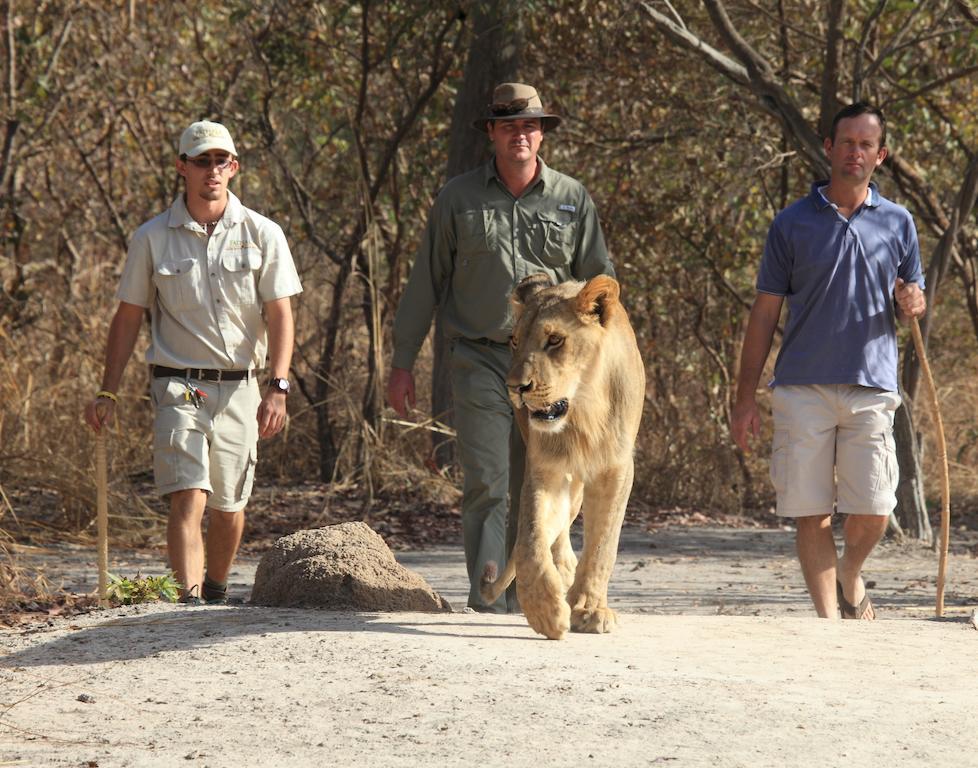 Fathala Wildlife Reserve Toubakouta Luaran gambar