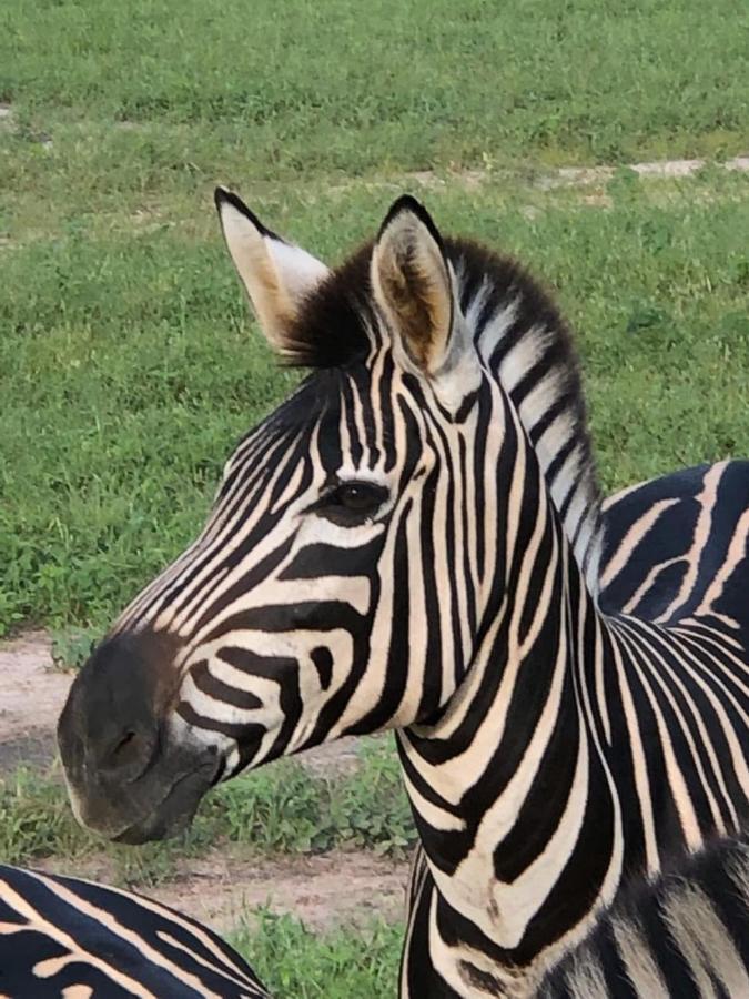 Fathala Wildlife Reserve Toubakouta Luaran gambar