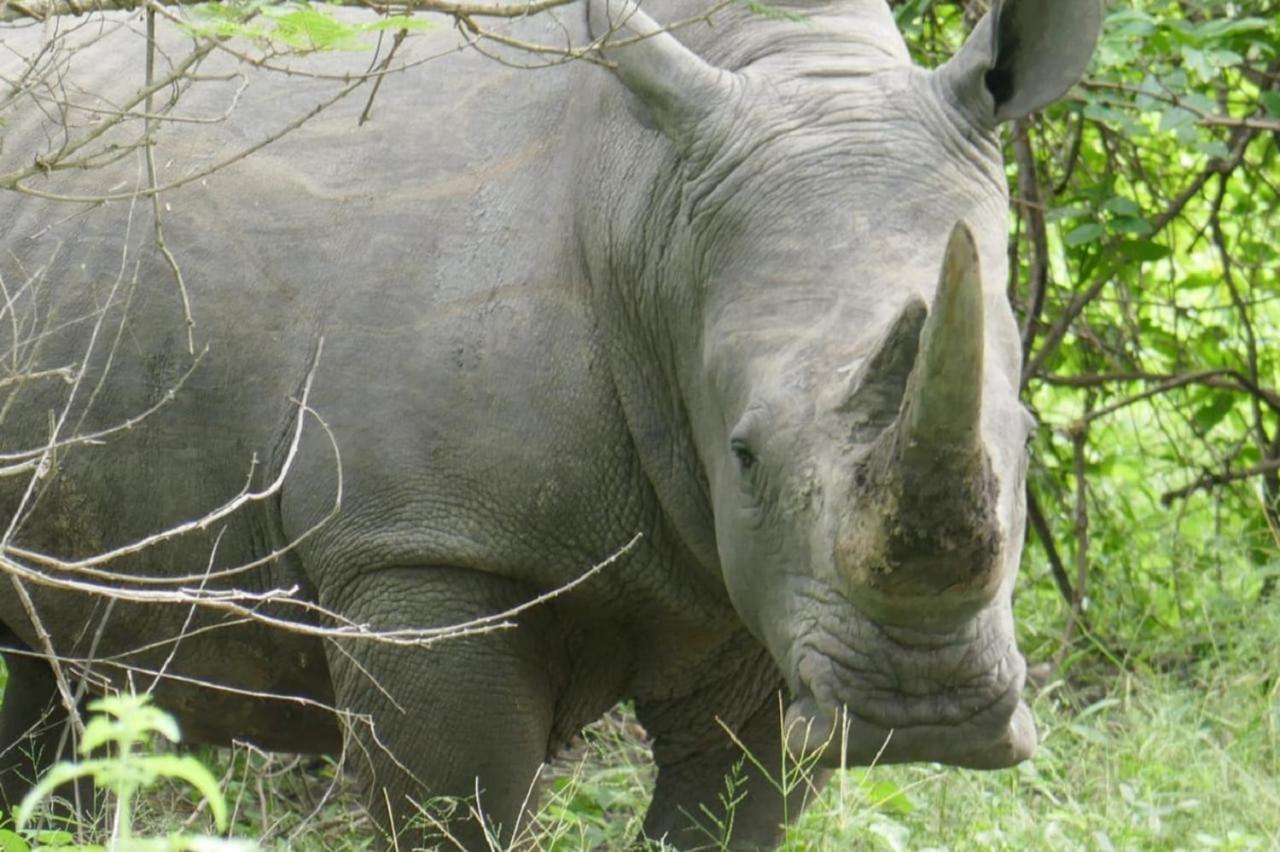 Fathala Wildlife Reserve Toubakouta Luaran gambar